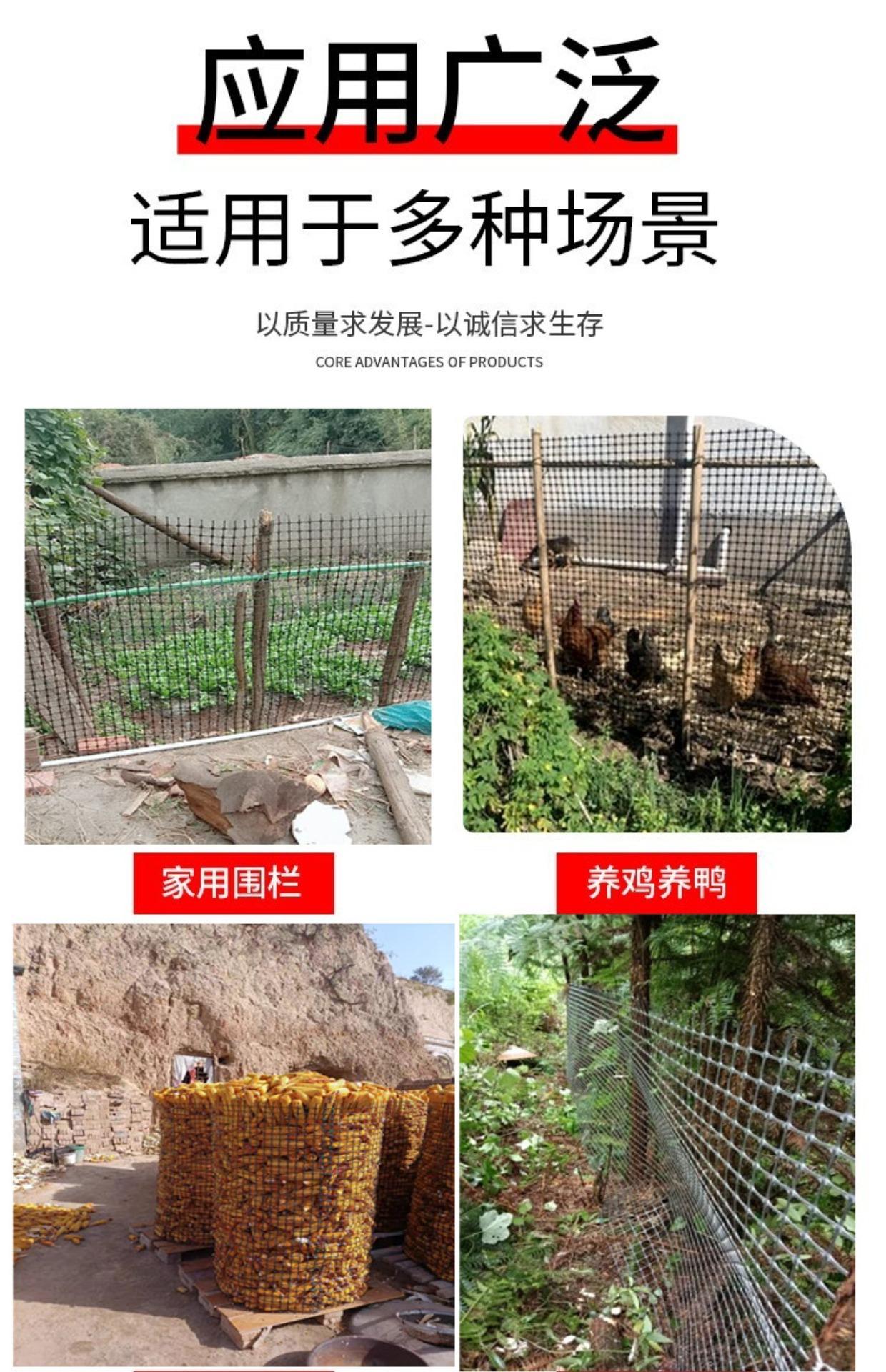 土工详情4