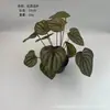 Nova Planta Transfronteiriça Folha de Caladium Mini Anjinho Parede Verde Paisagismo Folha Decorativa Material Display de Restaurante Plantas Verdes
