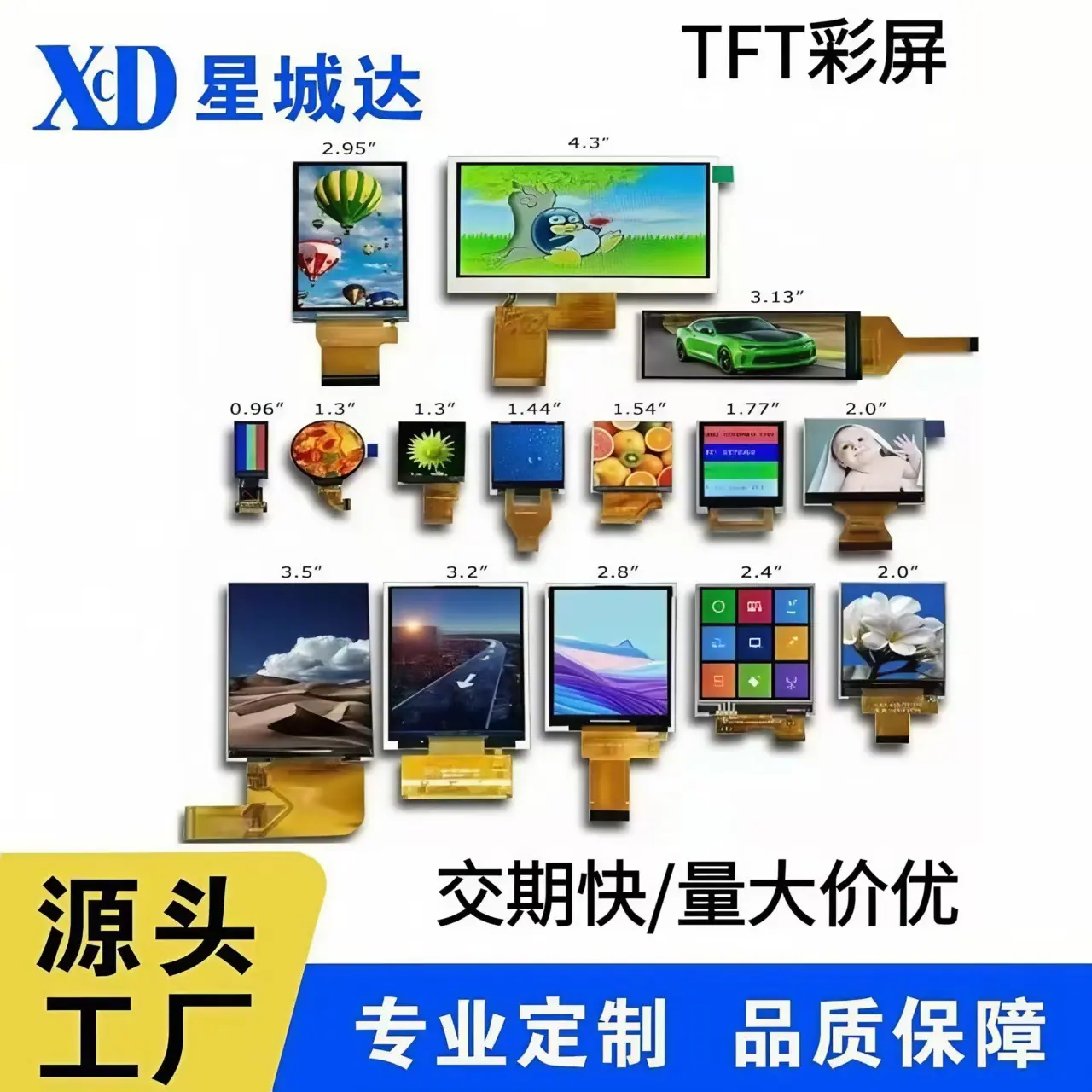 微信图片_20250516094646