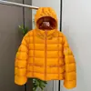 Jaqueta Puffer Leve Canelada Nova de Inverno para Mulheres, Casaco Curto Quente com Capuz, Versátil para Figuras Baixas