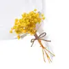 Ramos pequeños al por mayor de gypsophila, flores preservadas, flores secas, decoraciones de pared, mini ramos de cuerda de cáñamo, arreglos florales, tarjetas para manualidades