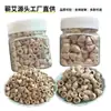 Moxibustión con jengibre, moxibustión con objetos, moxibustión con grano de trigo, equipo de moxibustión para el ombligo, caja de moxibustión, moxibustión de arcilla púrpura