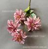 Cor de Pasta de Feijão Casamento Flor Artificial Raiz de Lótus Rosa Cor Retrô Arranjo de Casamento Europeu Pó Roxo Rosa Hortênsia Flor Artificial