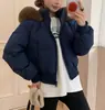 Jaqueta Curta de Algodão Estilo Coreano com Capuz e Gola Grande de Pelo Cintura Marcada Emagrecedora Curta para Baixinhas Quente de Inverno Casaco Curto de Algodão Peça Externa da Moda Jaqueta Puffer