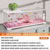 Acuario de Escritorio, Sala de Estar, Acuario con Paisajismo de Árbol de Flor de Cerezo, Acuario Ecológico de Auto-Circulación para Oficina, Tanque de Tortuga de Alta Transparencia