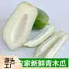 Mamão Verde Fresco de Guangxi, Peso Líquido Enviado, Adequado para Gestantes, Em Estoque, Tiras de Mamão Verde em Conserva Azeda, Prato Frio, Mamão Fresco Grande