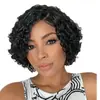 Amazon Fashion Peruca Lace Front Cabelo Cacheado Pequeno Rolo Cabelo Cacheado à Mão Venda Quente Africana Peruca Lace Front Cabelo Cacheado Europeia e Americana