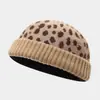 Gorro de tricô com estampa de leopardo, moda europeia e americana, gorro quente da moda para outono e inverno, estilo de rua, chapéu de lã com barra dobrada personalizado