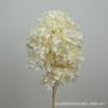 Pagoda de Hortensias de Madera Hortensia Anna Flor Inmortal Flor Seca Decoración del Hogar Arreglo de Boda Hecho a Mano DIY Material de Flores