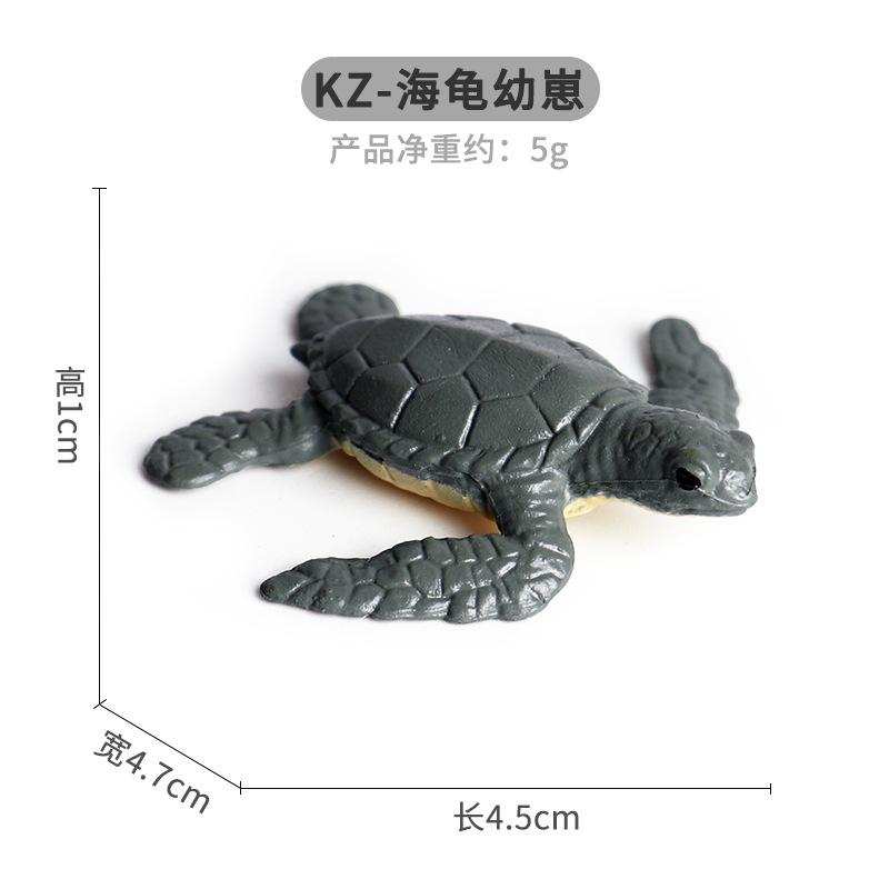 KZ-海龟幼崽