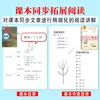 Pasajes Seleccionados Edición de Lectura Profunda para Estudiantes Edición de Lectura Profunda Ilustrada Bian Zhilin Estándares de Lectura del Nuevo Currículo Prensa Educativa de Shandong