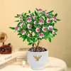Planta en Maceta Daphne de Phnom Penh, Plántula de Semillero de Pila Vieja de Aroma Fuerte con Capullos, Planta de Flor para Balcón Resistente al Frío, Flor de Interior, Flor de Nochevieja