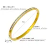 Pulsera de Acero de Titanio con Zirconia Microincrustada Cielo Estrellado de Lujo Ligero de Gama Alta 4 mm Moda Nicho Popular Hebilla Pulsera Joyería
