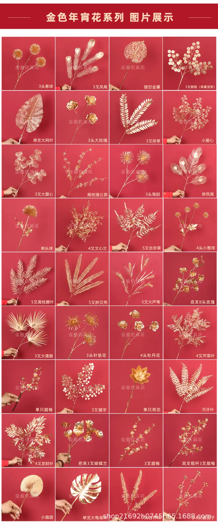 微信图片_20231018151922_05.gif