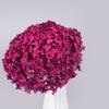 Fábrica de Yunnan, venta al por mayor, hortensia Anna eterna, color retro, para sala de estar, con voz vibrante, decoración en vivo, flor decorativa DIY