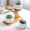 Estante de Bambú para Escritorio de Múltiples Niveles para Macetas de Flores Suculentas, Estante Pequeño para Flores en Maceta de Oficina, Estante de Acabado para Suculentas Mini, Estante de Almacenamiento