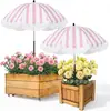 Parasol Popular para Plantas de Amazon Modelo Mejorado Parasol Ajustable para Exteriores Jardín Macetas