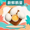 Ovos de ganso frescos de Heze, Shandong - disponíveis para dropshipping, 6 unidades por pedido, 120-140g cada, ovos de ganso crus, produto agrícola comestível, ovos de aves frescas