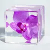 Resina de cristal esférico de dente-de-leão atacado presentes de aniversário artesanatos criativos pequenos ornamentos de resina em estoque