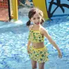 Novo Elefante Meninas 'Swimsuit Grande Pequeno e Médio Coreano Crianças Swimsuit Meninas 'one-piece Saia-estilo Hot Spring Swimsuit