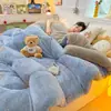 Edredón de Felpa Grueso de Doble Cara para Invierno al por Mayor, Ropa de Cama de Felpa de Leche y Felpa de Cordero, Edredón para Persona Doble de Hogar para Cuatro Estaciones, Núcleo de Edredón Individual para Dormitorio