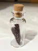 Japonês e Coreano Mais Vendidos Fresco e Doce Garrafa de Vidro de Garrafa de Deriva Trevo de Quatro Folhas Dente-de-Leão Flor Real Flor Seca Colar Modelo de Melhor Amiga
