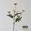 5 Flores de Dente-de-leão Artificiais para Decoração de Casa, Flores Artificiais Crisântemo Ping Pong, Decoração de Casamento, Galhos de Flores de Bola Pequena de Dente-de-leão Artificiais