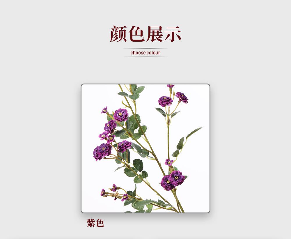 工厂描述_03.jpg