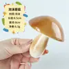 Juguetes Modelo de Verduras Simuladas y Frutas Falsas Adornos de Fotografía de Alimentos para Niños Accesorios de Exhibición Decoración de Habitación Modelo Ventana