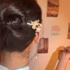 Accesorios para el Cabello Estilo Chino, Pasadores Estilo Antiguo, Pasadores Modernos, Borlas, Pasadores de Estilo Nuevo, Adornos para el Cabello para Cheongsam y Hanfu, Pasadores de Alta Gama