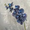 Decoración de Mesa Escandinava de Falenopsis de 9 Cabezas Impresa en 3D Película Floral de Boda Flor Artificial de Falenopsis Accesorios para Fotografía