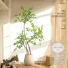 Planta Nandina Aterrizaje Planta en Maceta Interior Grande Biónica Verde Adornos Sala de Estar Lujo Ligero Flor Decorativa Árbol Falso