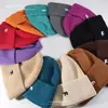 Gorros Cálidos de Lana para Otoño e Invierno para Mujer, Gorros de Punto Bordados de Oso Polar Casual Estilo Coreano, Gorros Fríos para Parejas Estudiantes, Tendencia al por Mayor