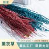 Yunnan Yongsheng Flor al por Mayor Ramo de Flor Seca de Lavanda Hecho a Mano DIY Material Floral Decoración para el Hogar Sala de Estar Arte Floral para Bodas