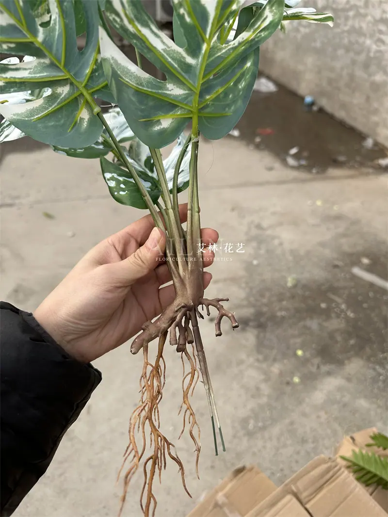 9叉绿植