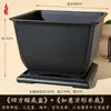 Maceta Cuadrada Creativa Planta Suculenta Árbol de la Fortuna Bonsái Maceta Especial de Jardinería Maceta de Plástico Simple