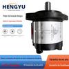 Bomba Hidráulica Hengyu 2Pdf06Da0Y6L1 Bomba Guorui Bomba de Engrenagem de Pressão Grh 2Apf06L08P11 Bomba de Óleo