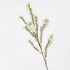 Venda Direta de Fábrica Ramo Único Simulada 8 Cabeças Flor de Inverno Australiana Decoração de Casa Arranjo de Flores Ornamentos Buquê de Mão com Plantas Florais