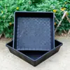 Bandeja Engrosada para Plántulas de Brotes Bandeja Caja de Plántulas para Sembrar Suculentas Bandeja con Agujeros de Plantación Caja de Cultivo de Brotes Maceta para Brotes de Frijol