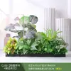 Paisagismo com Plantas Verdes Simulação Floreira Divisória de Piso Arte Floral de Chão Paisagem de Plantas Combinação de Floreira Flor Artificial em Vaso Bonsai Decoração