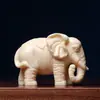 Elefante de la fortuna de fruta marfil, elefante pequeño lindo y adorable, fruta de planta, elefante que atrae la fortuna, pieza de mano coleccionable, adorno, elefante auspicioso
