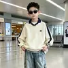 Ropa de Otoño para Niños Sudadera Estilo Primavera y Otoño 2026 Nuevo Estilo Artículo Popular de Moda de Este Año Niños Grandes Otoño Camisa Polo Superior Niño