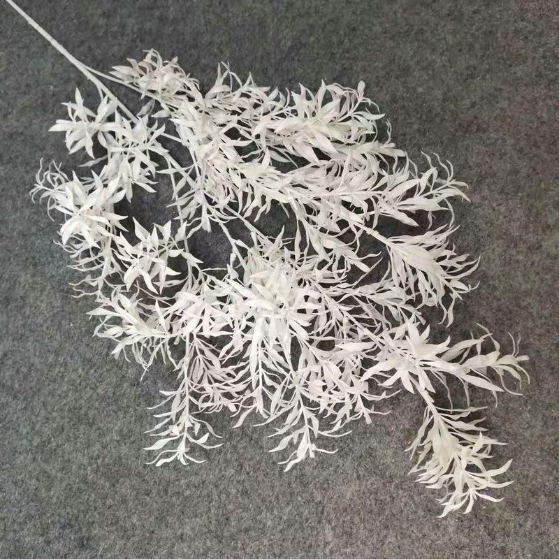 白色.jpg