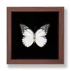 Borboleta de Asa Vermelha Ornamento de Borboleta Real Pintura Decorativa Espécime de Borboleta Presente de Aniversário Moldura de Presente Suporte de Exibição Sensação de Alto Padrão