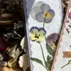 Flores reales flores prensadas tarjetas de felicitación de flores prensadas con tema de bosque, tarjetas de votos, tarjetas, regalos florales, marcapáginas, tarjetas de presentación, tarjetas de invitación y artículos decorativos