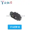 Amass Xt30Uxt60 Xt60H Xt90 Mr30 Batería de Litio Modelo de Aeronave de Alta Corriente Conector Banana