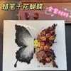 Marco de Foto Estéreo Hueco de Óleo de Flor Seca Mariposa Morada Regalo Hecho a Mano DIY para el Día de la Diosa para Novia Regalo de Flor Eterna