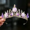 Acessórios de Cabeça Coroa Infantil Transfronteiriços, Acessórios de Cabelo Princesa Sophia, Tiaras, Acessórios de Festival, Coroa Roxa para Performance Atacado