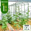 Treliça de Uva Treliça de Escalada para Jardinagem Pátio Externo Horta Suporte para Uva Melão Amargo Lufa Maracujá Treliça