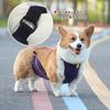 Faixa de Barriga Impermeável para Cães Pequenos e Médios, Roupa Anti-Sujeira para Pets, Cobertura de Barriga para Exterior, Colete Protetor Específico para Corgi